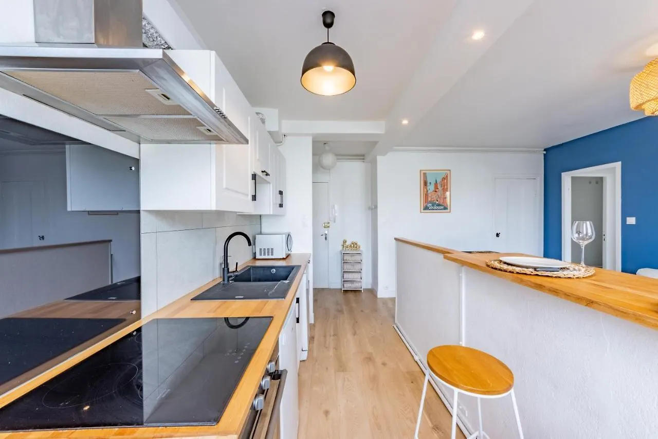 Le Charmant T3 Cote Pavee Parking Facile Toulouse Apartment